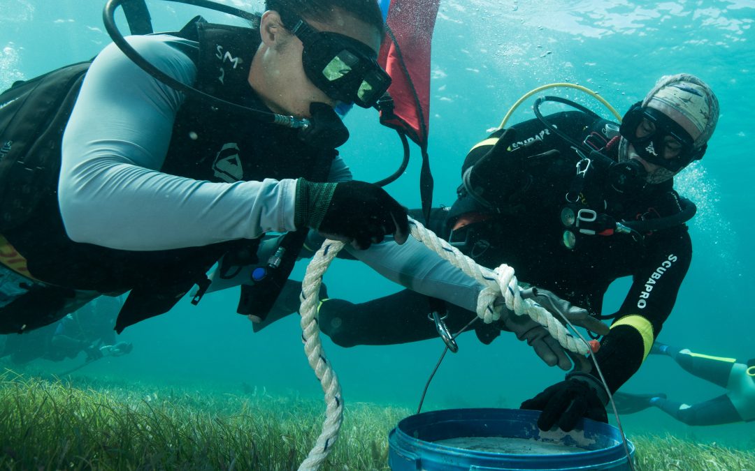 Reef Brigades: การตอบสนองอย่างรวดเร็วและการซ่อมแซมแนวปะการังฉุกเฉินในกินตานาโร ประเทศเม็กซิโก การสัมมนาผ่านเว็บ