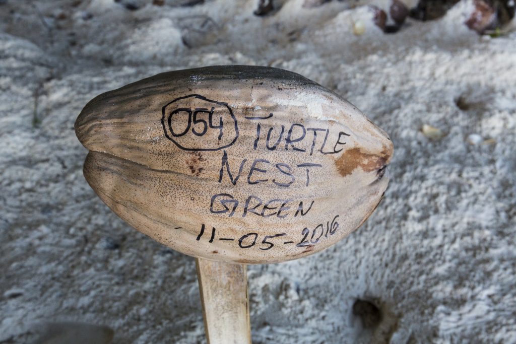 Turtle nest sign Jason Houston