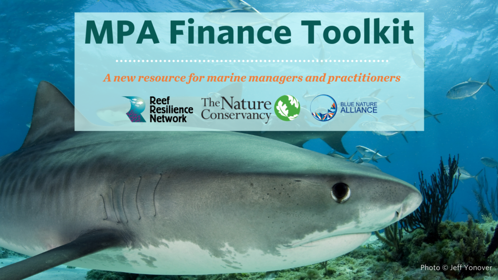 MPA Finance Toolkit tiger shark ad