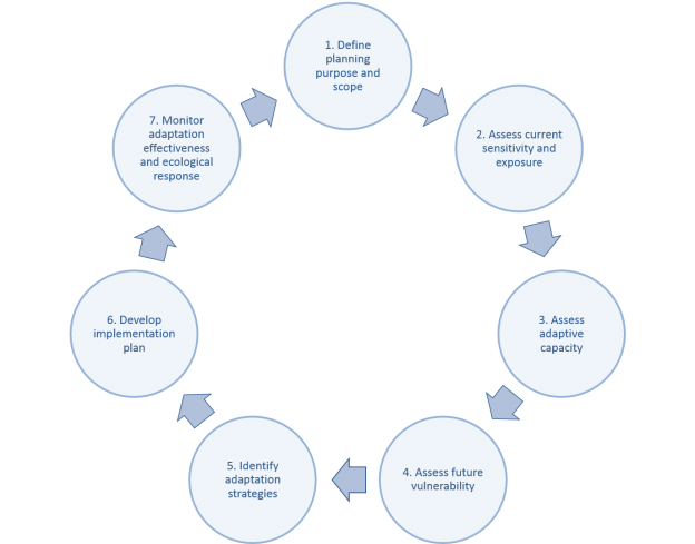 Vulnerability Assessment Components | Reef Resilience