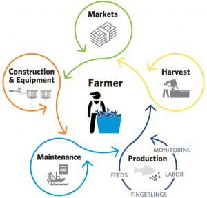 養殖経済的側面