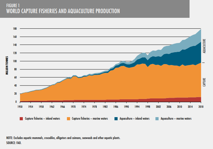 aquaculture status world fisheries and aq production