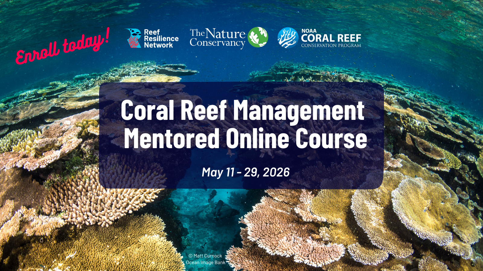 Coral Reef Management Mentored Online Course - Enroll Today!