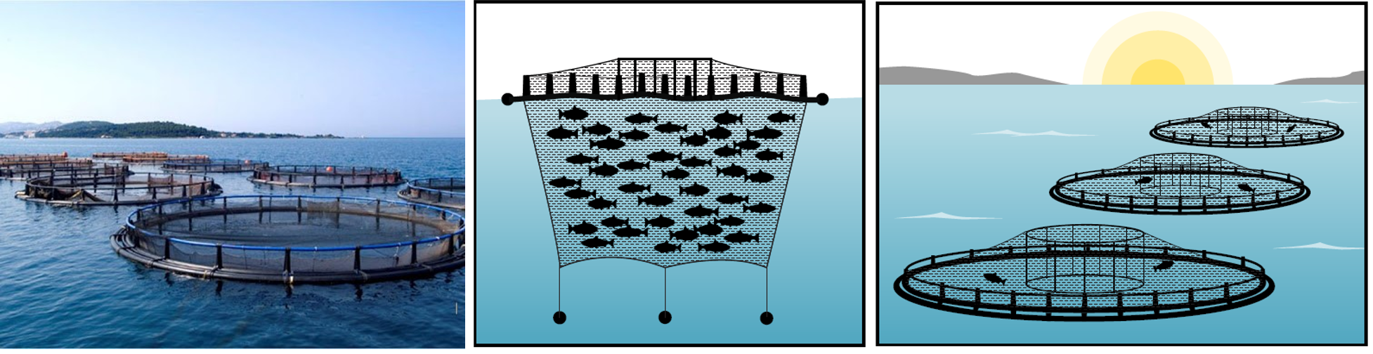 métodos de cultivo gaiolas de salmão