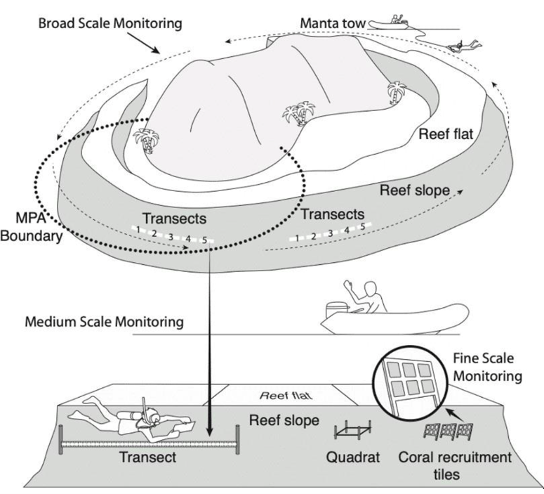 Infographic showing the scales of monitoring methods