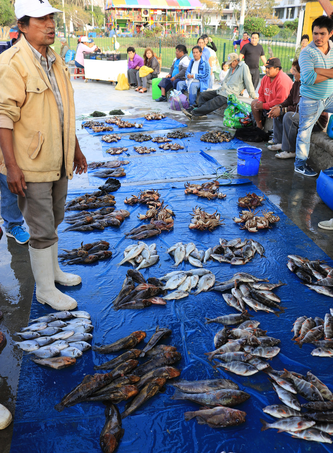 La captura del día de un pescador en el muelle de la venta, Perú. Foto © Jeremy Rude / TNC