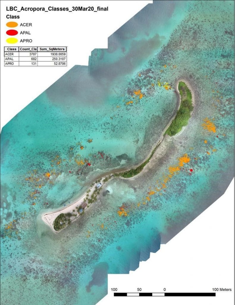 fragmenten van hoop koraal kolonies kaart