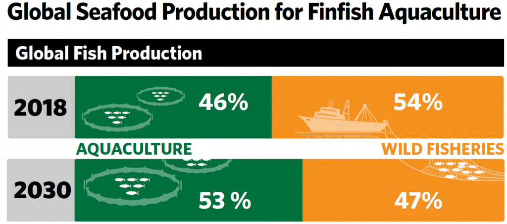 produção global de peixes