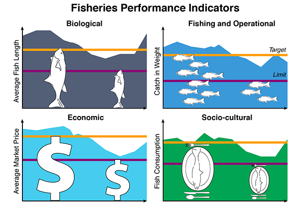 There are many ways to measure the social, biological, economic, and operational performance of a fishery. Fishery managers often use harvest control rules to indicate when and how much to adjust management when indicators change (for better or for worse). Managers aim to keep indicators at the Target Reference Points (orange). Harvest control rules typically become more restrictive if certain thresholds, such as Limit Reference Points (purple), are not being achieved.
