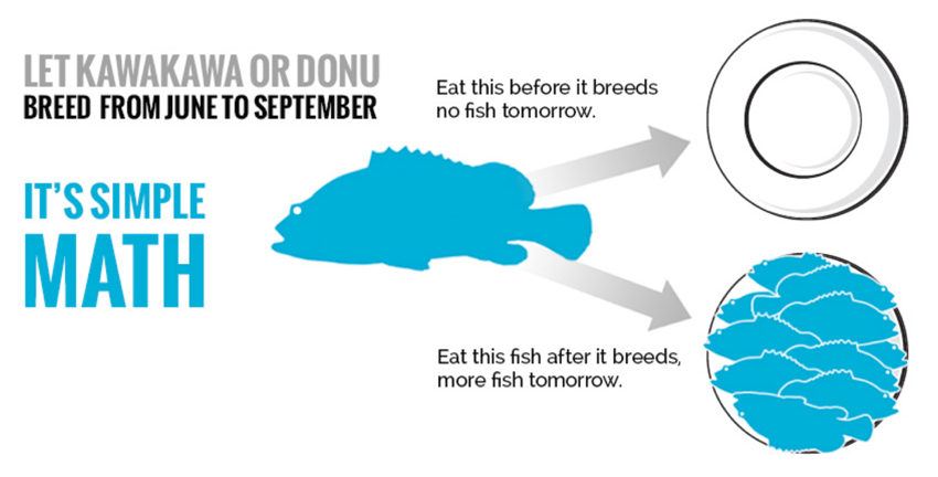 Contoh menggambarkan 'ajakan bertindak' yang jelas dan apa yang akan terjadi jika audiens mengambil tindakan. Grafik situs web dari Kampanye 4FJ, sebuah inisiatif di Fiji untuk melindungi ikan kerapu selama bulan-bulan pemijahan.