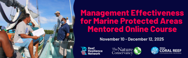 management effectivness mentored course header