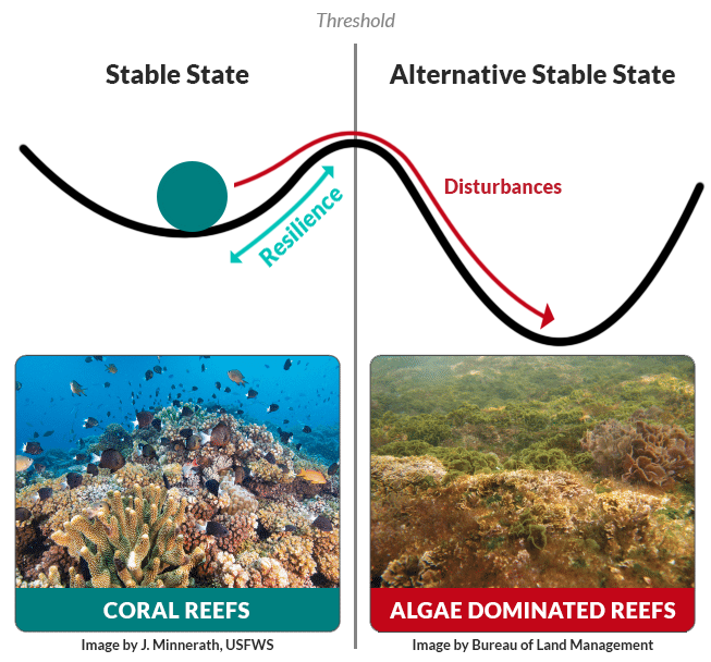 Modelo de resiliencia conceptual para arrecifes de coral adaptado de Ken Anthony. Basado en la fuente: atlas.org.au