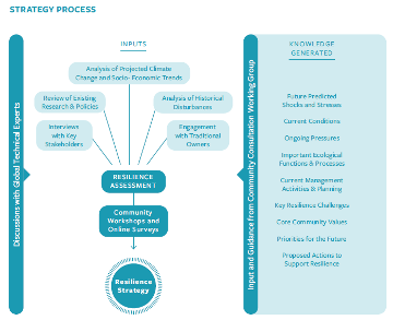 Reef Resilience Strategy Process