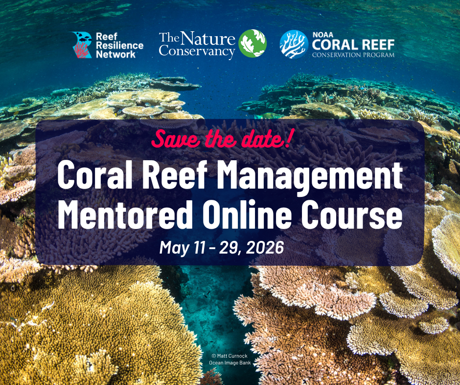 Save the Date: Coral Reef Management Mentored Course, May 11-29, 2026
