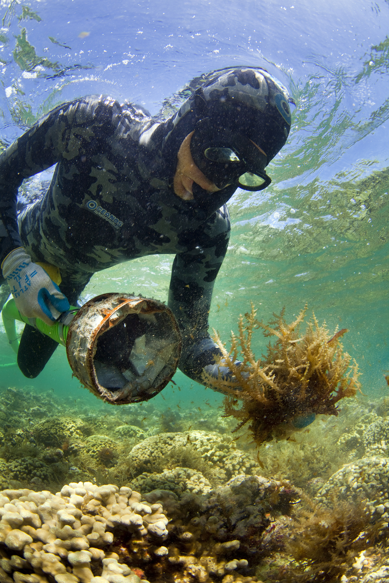Seorang teknisi lapangan di Teluk Kaneohe, Hawaiʻi membersihkan sepetak koral yang diselimuti alga invasif dengan Super Sucker. Foto © Ian Shive