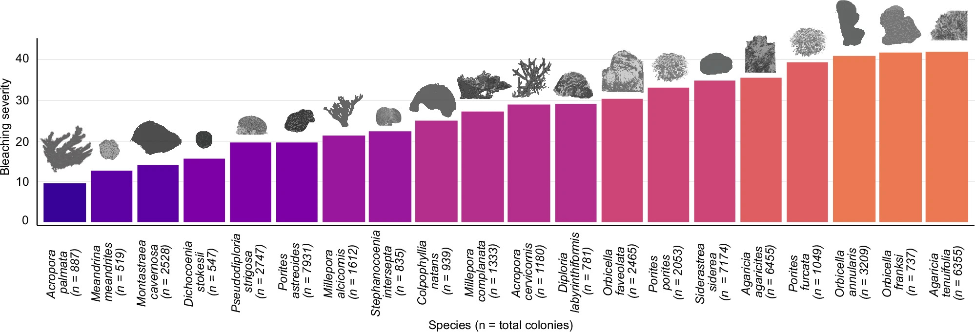 Bleaching severity index across species in the Mesoamerican reef system during the 2015-2017 bleaching event. Source: Muniz-Castillo et al. 2024