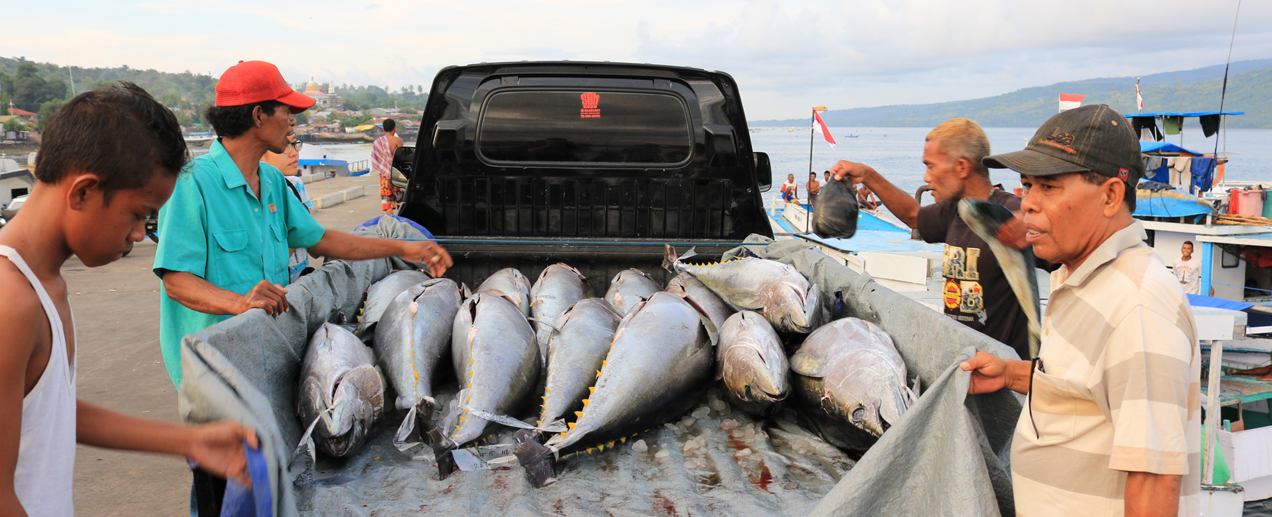 Structure of Seafood Supply Chains | Reef Resilience Network
